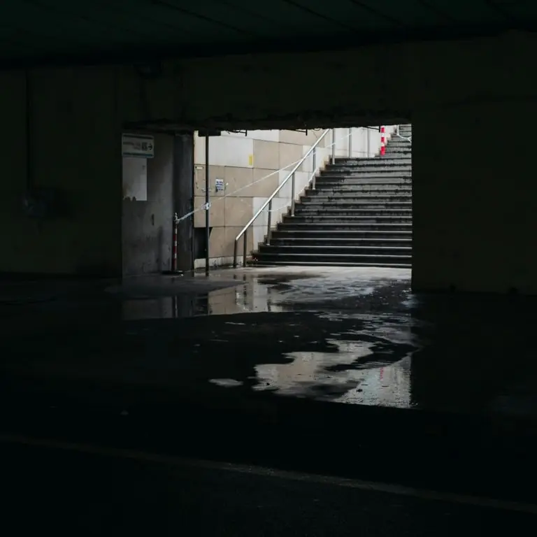 Flooded basement stairwell with standing water